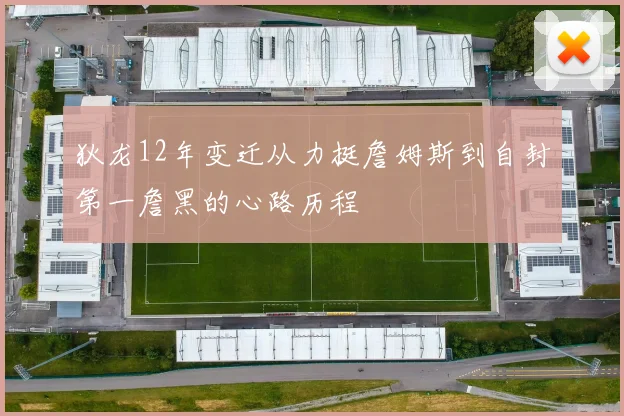 狄龙12年变迁从力挺詹姆斯到自封第一詹黑的心路历程